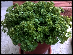2019 Another Parsley